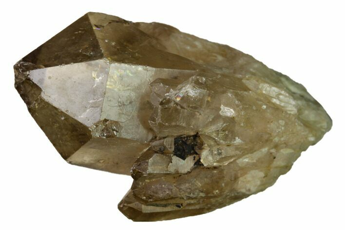 Citrine Quartz Crystal Cluster - Lwena, Congo #170657